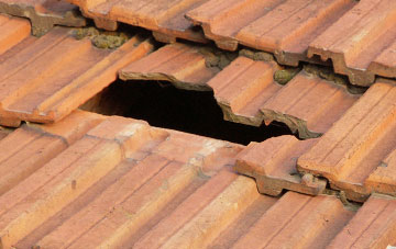 roof repair Migdale, Highland